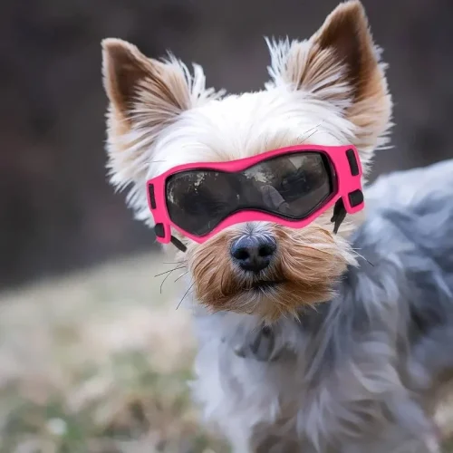 UV Protective Goggles for Dogs Cat Sunglasses Cool Protection Eyewear
