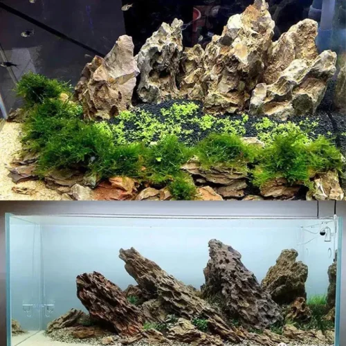 250g 500g 1000g Natural Aquarium Decor Stone Rockery Landscaping